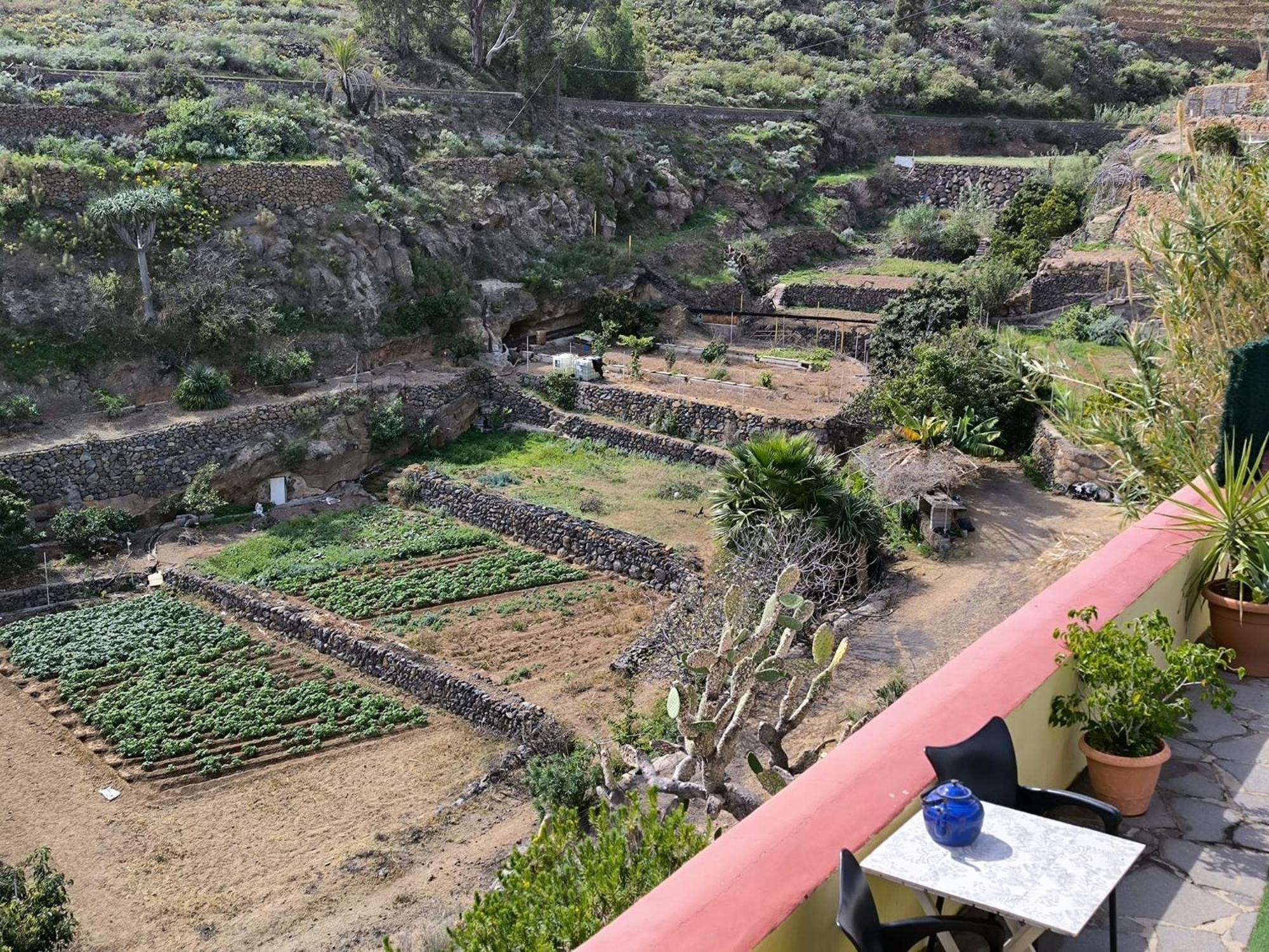 Hotel Rural La Raya 1866 Güimar Dış mekan fotoğraf